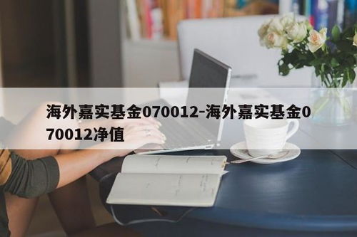 海外嘉實(shí)基金070012 凈值解析與計(jì)算機(jī)維修服務(wù)的跨界思考